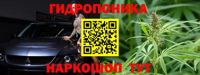 индика Гай