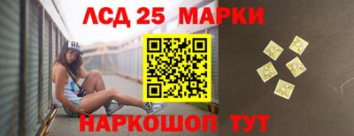 индика Гай