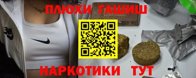 индика Гай