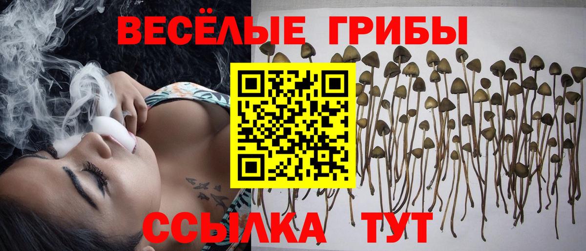Ликино-Дулёво  Галлюциногенные грибы мухоморы  Вход с VPN 